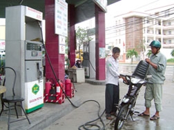 Đừng để tin... vịt cuốn đi!