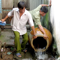Muỗi - Tác nhân truyền bệnh nguy hiểm