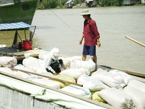 Thị trường lúa gạo đang chuyển động