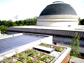 Xu hướng “Nhà xanh” ở Mỹ