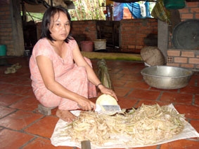 Hiệu quả từ những mô hình vay vốn ưu đãi
