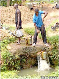 Nhiều thành phố dùng nước thải trong nông nghiệp