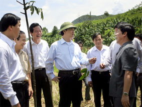 Lai Châu cần phát huy kinh tế rừng để xóa đói giảm nghèo