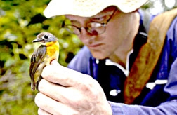 Loài chim mới nhất trên thế giới