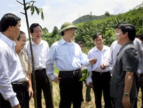 Lai Châu cần phát huy kinh tế rừng để xóa đói giảm nghèo
