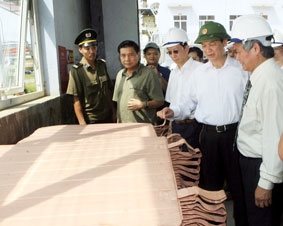Cần phát huy tiềm năng, thế mạnh về dịch vụ và khoáng sản để phát triển nhanh và bền vững