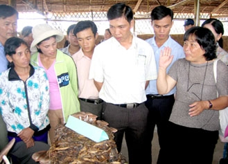 Giải pháp mới góp phần tăng thu nhập cho nông dân và bảo vệ môi trường