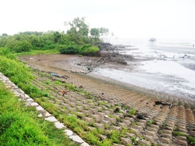 Mong manh giữa mùa mưa lũ