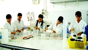 Mục tiêu chiến lược của Đảng trong giai đoạn mới và tính cấp bách xây dựng đội ngũ trí thức lớn mạnh
