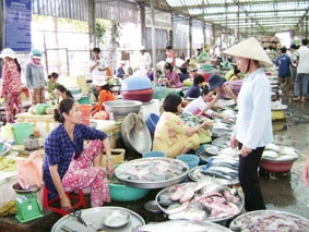 Nguồn hàng dồi dào, giá giảm...