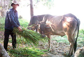 Cần thiết lập Quỹ giải quyết việc làm địa phương