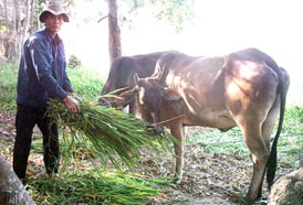 Cần thiết lập Quỹ giải quyết việc làm địa phương
