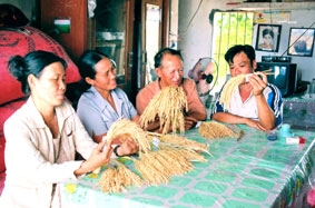 Công nghệ nào cho hạt gạo Đồng bằng sông Cửu Long ?