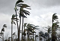 Động đất mạnh ở Nhật và Indonesia