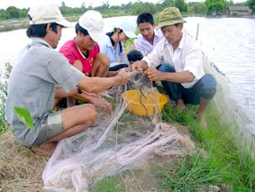 Nâng cao chất lượng cán bộ khu vực nông nghiệp, nông thôn