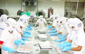 Tăng trưởng nhưng chưa bền vững