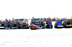 Giá dầu giảm, ngư dân vẫn lo !