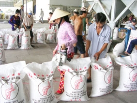 Còn bỏ ngỏ đầu tư kho tồn trữ lúa gạo