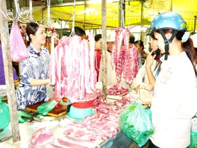 Nỗi lo heo hơi rớt giá...