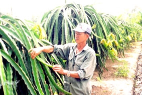 Con đường chưa bằng phẳng