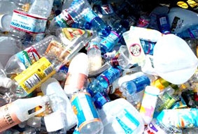 Vi khuẩn biến rác nhựa thành tiền