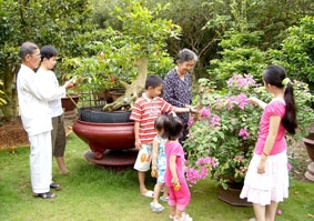 Cây lành cho trái ngọt