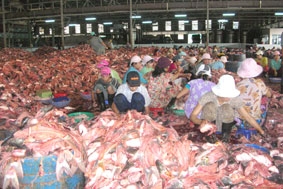 Vì sao chấp hành chưa nghiêm?