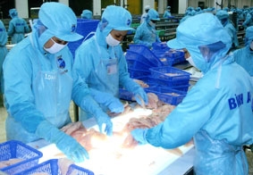 Cần nhận diện đúng thị trường