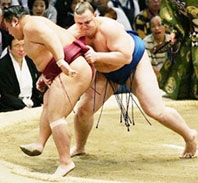 Mặt trái của làng sumo