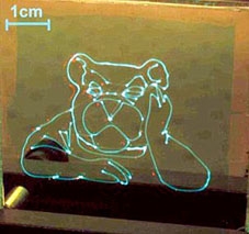 Màn hình có thể cuốn bỏ vào túi áo