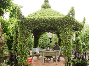 Sức hút mới từ kiểng thú, kiểng hình...