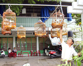 Thú chơi gần gũi thiên nhiên, giàu chất văn hóa