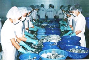 Vì sao giá cổ phiếu công ty thủy sản giảm ?