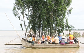 Những chuyến phà nghĩa tình