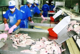 Một vài kinh nghiệm làm ăn với thị trường EU