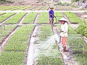 Nửa mừng, nửa lo !