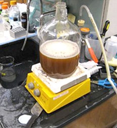 Sẽ có bia giúp kéo dài tuổi thọ?