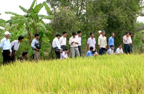Hội Nông dân Việt Nam với vấn đề nông nghiệp, nông dân và nông thôn hiện nay