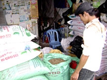 Giá thức ăn chăn nuôi khó tăng trở lại