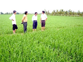 Đừng để rối mới gỡ!