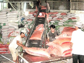 Nhà nông và doanh nghiệp đồng thuận