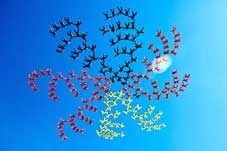 Quốc kỳ Đức
nổi trên bầu trời