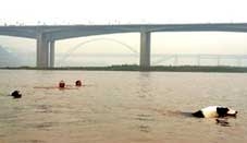 Chó gia nhập câu lạc bộ bơi lội