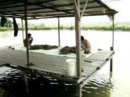Những thách thức trong bảo vệ môi trường