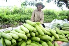 Kiên quyết xử lý các trường hợp khiếu kiện không đủ chứng cứ, cố tình gây mất an ninh trật tự