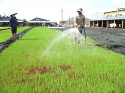 Nhiêu khê trong tái đầu tư