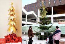 Cây thông Noel đắt nhất và “bèo” nhất