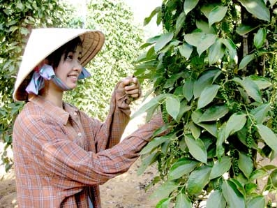 Một năm nhìn lại