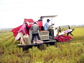 Từ chuyện con trâu nghĩ về chuyện cơ giới hóa trên đồng đất Cửu Long giang