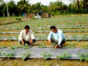 Nâng cao hiệu quả công tác vận động quần chúng